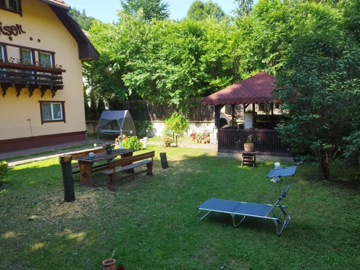 Villa Foisor Buşteni Εξωτερικό φωτογραφία